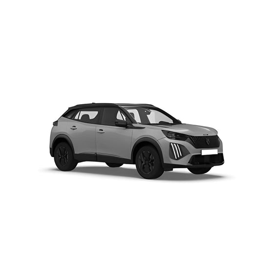Peugeot 2008 II (2019 >) | Pluto Divisori