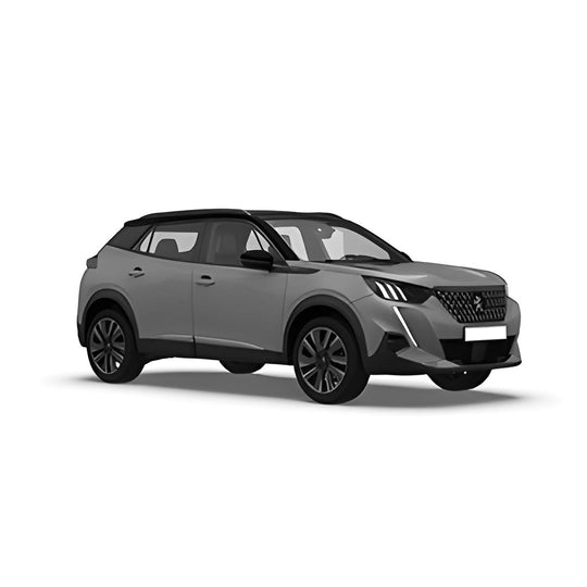 Peugeot 2008 II (2019 - 2023) | Pluto Divisori