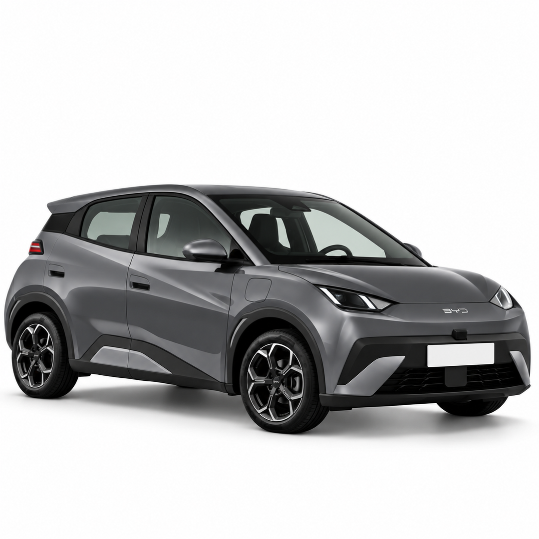 BYD Dolphin Surf (2025 >) | Pluto Divisori