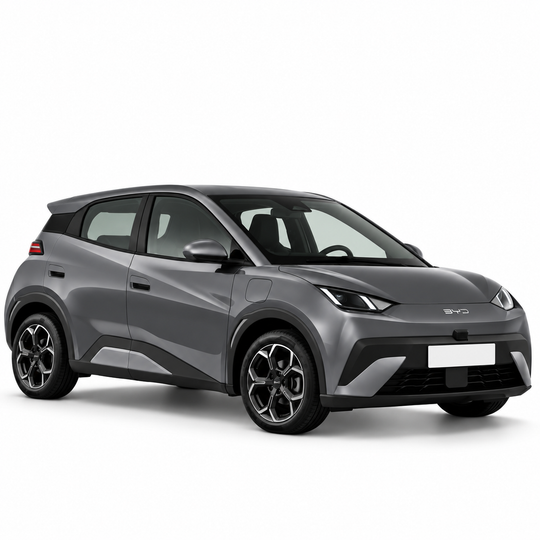 BYD Dolphin Surf (2025 >) | Pluto Divisori